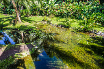 Jardins de Vaipahi