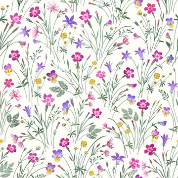 meadow flower seamless pattern on white  background