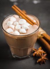 Hot chocolate with marshmallow on the wooden background. Shallow depth of field. Toned image.