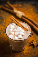 Fototapeta na wymiar Hot chocolate with marshmallow on the wooden background. Shallow depth of field. Toned image.