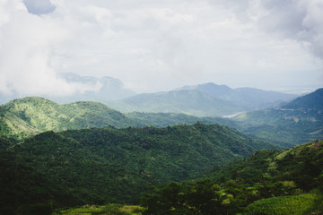 Landscape view of mountain and rainforest.