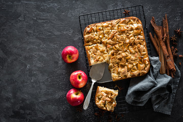 Apple pie with cinnamon, top view