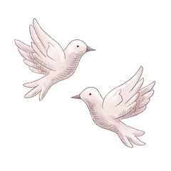 Flying dove couple