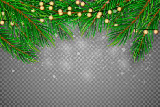 Christmas Decoration. Green branches of a Christmas tree on a background of wood. Vector Eps10