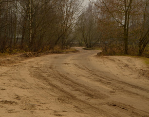 Sandy road in the middle of the forest. October, autumn.