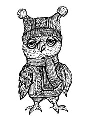 Vector image Owl in a knitted hat