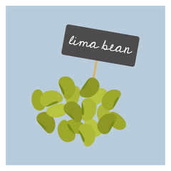 Vector Vegetable - Lima Bean - 182569963