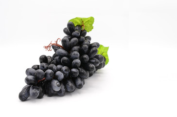 Fake violet grapes on white background with green leafs
