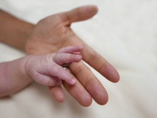 motherhand and babyhand isolated on a white background