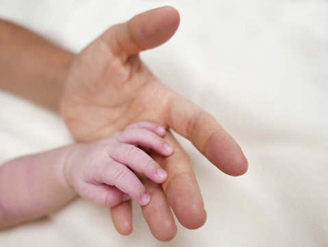 motherhand and babyhand isolated on a white background