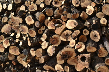 Madera apilada textura