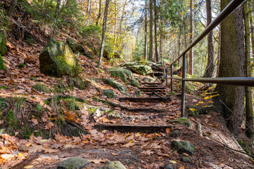 Nationalpark Sächsische Schweiz