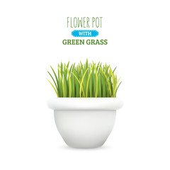 Fresh green grass in a round pot. Element of home decor. The symbol of growth and ecology. Vector realistic illustration, isolated.