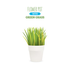 Fresh green grass in a classic pot. Element of home decor. The symbol of growth and ecology. Vector realistic illustration, isolated.