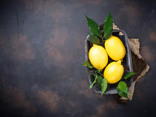 Fresh juicy lemons on rusty background