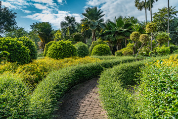 Concrete Pathway in park