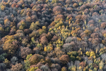 Vue aérienne de la forêt en automne à Brueil-en-Vexin dans les Yvelines en France