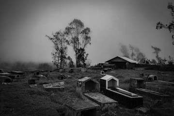 La niebla, la soledad, la muerte