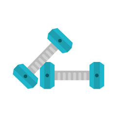 Dumbbells gym weigth icon vector illustration graphic design