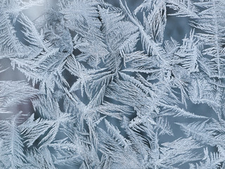 Frosty pattern on the window