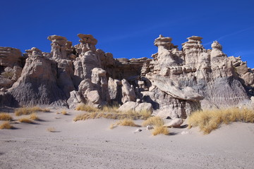 eroded rocks in petrified forest NP