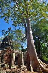 Fototapeta na wymiar Bantey Khde temple in Angkor Wat, Cambodia
