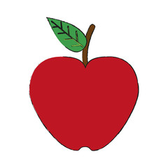 Apple delicious fruit icon vector illustration graphic design