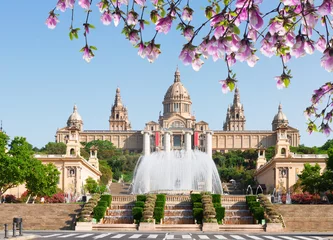 Tuinposter Plein van Spanje - Nationaal museum van Barcelona met fontein op lentedag, Spanje © neirfy