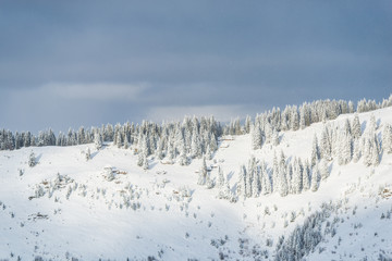 Fototapeta na wymiar Winter landscape 