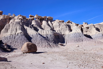 eroded rocks in petrified forest NP