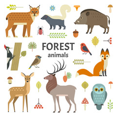 Vectorillustratie van dieren in het bos: elanden, hinde, egel, vos, uil, lynx, stinkdier, wilde zwijnen, spechten en andere vogels, geïsoleerd op de achtergrond.