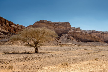 The Negev Desert. Mountain landscapes. Israel Middle East.