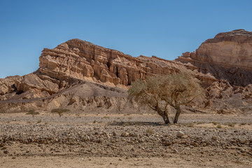 The Negev Desert. Mountain landscapes. Israel Middle East.