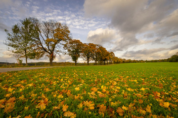 Obraz premium Meinerzhagen im Herbst