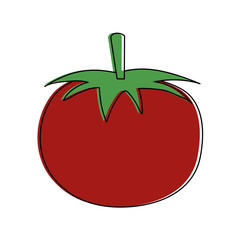 Tomato fresh vegetable icon vector illustration graphic design