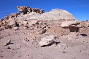 eroded rocks in petrified forest NP