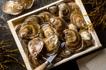 Fresh Oysters