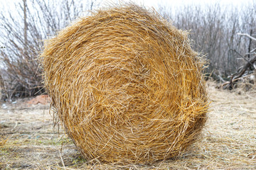 Straw bales close-up.