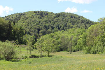 Fototapeta na wymiar Bach - Fluss - Wiesen - Flusstal