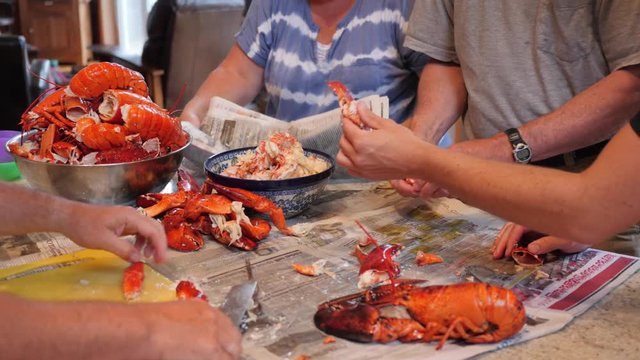 Family prepare fresh lobster for their dinner at home