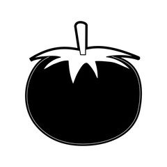 Tomato fresh vegetable icon vector illustration graphic design