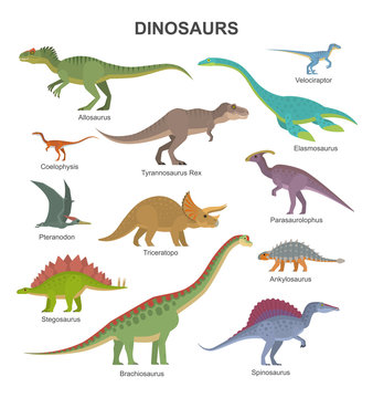 Vector collection of cute flat dinosaurs, including T-rex, Stegosaurus, Velociraptor, Pterodactyl, Brachiosaurus and Triceratop, isolated on white.