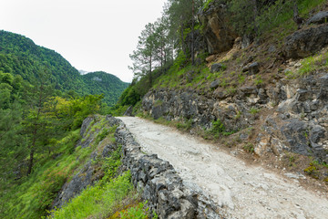 Fototapeta na wymiar mountains and forests of Abkhazia