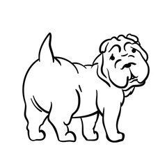 Drawing of a dog on a white background