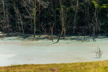 Water pollution with cooper mine residuals