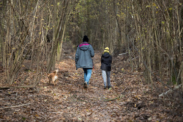 family walk with dog
