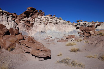 eroded rocks in petrified forest NP