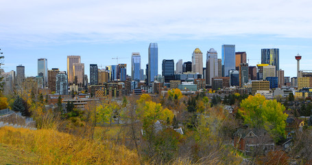 Fototapeta na wymiar Calgary, Canada city center with colorful fall leaves