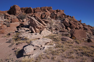 eroded rocks in petrified forest NP