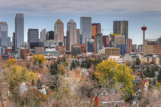 Calgary, Canada Skyline With Fall Foliage